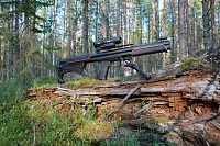 EDgun Fenix на поваленном стволе — в кадре сошки и установленная оптика