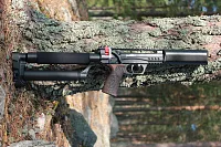 EDgun Леший 2 на замшелом стволе дерева, вид справа