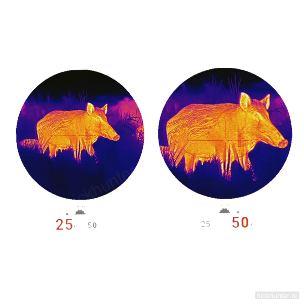 Тепловая картинка Pard Ocelot 640 Zoom: один и тот же объект на 25 и на 50 метрах