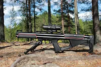 EDgun Fenix 6.35 мм со стволом 500 мм на камне в сосновом лесу